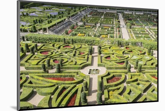 The gardens of Villandry castle from above, Villandry, UNESCO World Heritage Site, Indre-et-Loire, -Francesco Vaninetti-Mounted Photographic Print