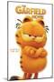 The Garfield Movie - Garfield Feature Series 24-Trends International-Mounted Poster