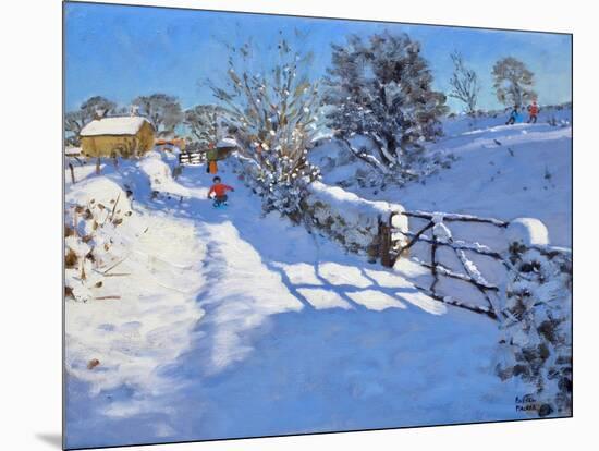 The Gate,Wash Lane,Wirksworth,Derbyshire,2011,-Andrew Macara-Mounted Giclee Print