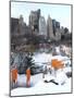 The Gates and Wollman Rink, Central Park-Igor Maloratsky-Mounted Art Print