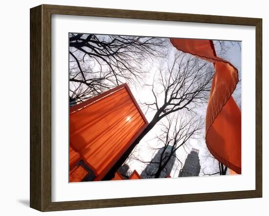 "The Gates" are Shown in Central Park in New York with Flowing Fabric the Color of a Sunrise-null-Framed Photographic Print