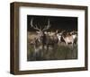 The Gathering-Kevin Daniel-Framed Art Print