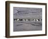 The Gathering-Gill Copeland-Framed Art Print