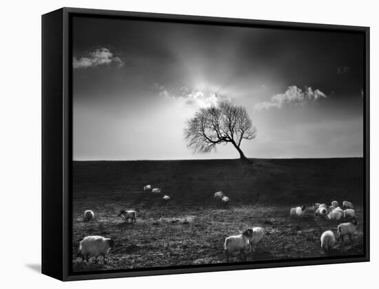 The Gathering-Martin Henson-Framed Stretched Canvas