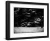 The Gathering-Sharon Wish-Framed Photographic Print