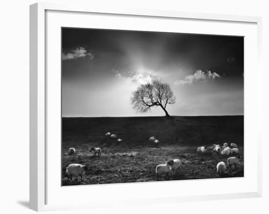 The Gathering-Martin Henson-Framed Photographic Print