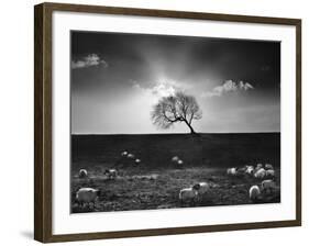 The Gathering-Martin Henson-Framed Photographic Print