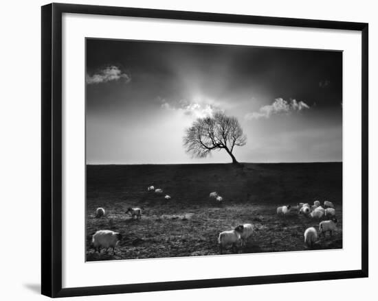 The Gathering-Martin Henson-Framed Photographic Print