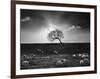 The Gathering-Martin Henson-Framed Photographic Print