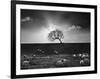 The Gathering-Martin Henson-Framed Photographic Print