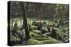 The Gathering-Don Engler-Stretched Canvas