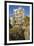 The Gaudi-Style Building known as the Crazy House (Architect Leon Geneva)-Massimo Borchi-Framed Photographic Print