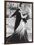 The Gay Divorcee-null-Framed Photo