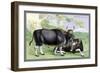 The Gayal-John Stewart-Framed Art Print