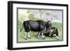 The Gayal-John Stewart-Framed Art Print