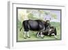 The Gayal-John Stewart-Framed Art Print