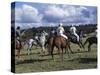 The Geeburg Polo Match, Bushmen Versus Melbourne Polo Club, Australia-Claire Leimbach-Stretched Canvas