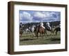 The Geeburg Polo Match, Bushmen Versus Melbourne Polo Club, Australia-Claire Leimbach-Framed Photographic Print