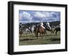 The Geeburg Polo Match, Bushmen Versus Melbourne Polo Club, Australia-Claire Leimbach-Framed Photographic Print