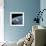 The Gemini-Titan 7 Spacecraft in Earth Orbit-Stocktrek Images-Framed Photographic Print displayed on a wall