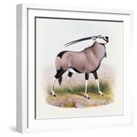 The Gemsbok, from 'The Book of Antelopes'-Wolf & Smit-Framed Giclee Print