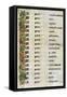 The Genealogy of Christ, 800 Ad-null-Framed Stretched Canvas