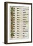 The Genealogy of Christ, 800 Ad-null-Framed Giclee Print