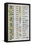 The Genealogy of Christ, 800 Ad-null-Framed Stretched Canvas