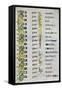 The Genealogy of Christ, 800 Ad-null-Framed Stretched Canvas