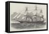 The General Screw Steam-Ship Company's New Vessel, Queen of the South-Edwin Weedon-Framed Stretched Canvas