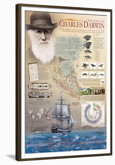 The Genius of Charles Darwin-null-Framed Premium Giclee Print