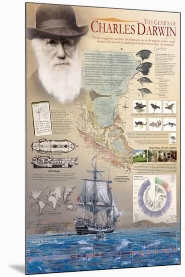 The Genius of Charles Darwin-null-Mounted Premium Giclee Print