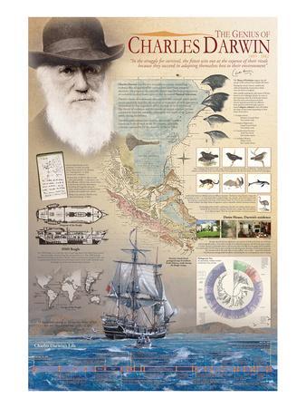 The Genius of Charles Darwin' Poster | AllPosters.com