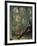 The Genius of Shakespeare (Presented with 'Great Thoughts' Christmas Number), Pub. 1888 by W.…-null-Framed Giclee Print