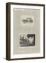 The Genius of Thomas Hardy-Frederick Greenwood-Framed Giclee Print