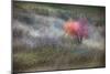 The Gentle Season-Ursula Abresch-Mounted Photographic Print