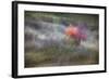 The Gentle Season-Ursula Abresch-Framed Photographic Print