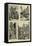 The George Stephenson Centenary, Newcastle Illustrated-null-Framed Stretched Canvas