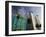 The Georgian Hotel and Beach Condos, Santa Monica, Los Angeles, California-Walter Bibikow-Framed Photographic Print