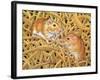 The Gerbils, 1994-Ditz-Framed Giclee Print