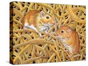 The Gerbils, 1994-Ditz-Stretched Canvas