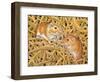 The Gerbils, 1994-Ditz-Framed Giclee Print