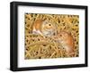 The Gerbils, 1994-Ditz-Framed Giclee Print