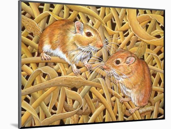 The Gerbils, 1994-Ditz-Mounted Giclee Print