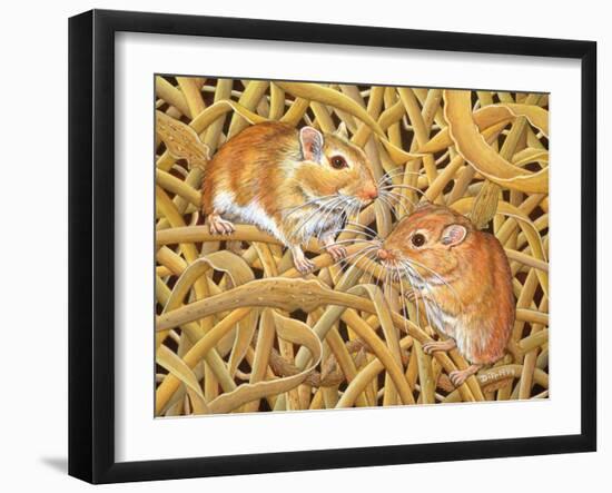 The Gerbils, 1994-Ditz-Framed Giclee Print