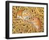 The Gerbils, 1994-Ditz-Framed Giclee Print