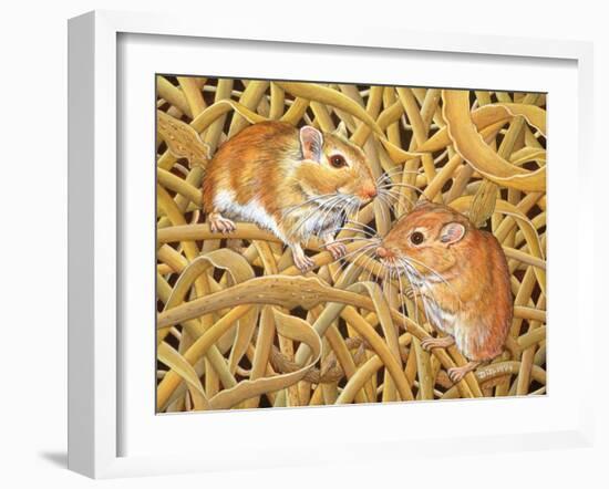 The Gerbils, 1994-Ditz-Framed Giclee Print