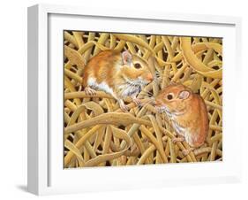 The Gerbils, 1994-Ditz-Framed Giclee Print