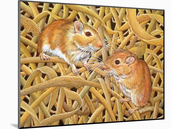 The Gerbils, 1994-Ditz-Mounted Giclee Print