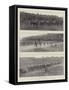 The German Army Manoeuvres in Westphalia-null-Framed Stretched Canvas